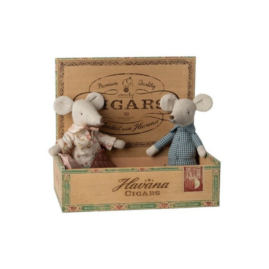 Бабушка и дедушка-мышата в коробке из-под сигар